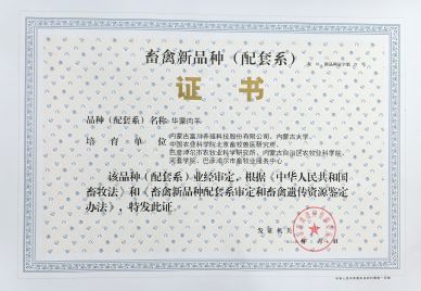 華蒙肉羊獲得畜禽新品種(配套系)證書