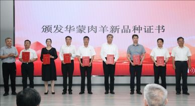 華蒙肉羊新品種成果推介會暨《2024—2030年巴彥淖爾肉羊產(chǎn)業(yè)戰(zhàn)略發(fā)展規(guī)劃》論證會舉行