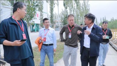 “網(wǎng)絡(luò)名人內(nèi)蒙古行巴彥淖爾站”，眾多千萬博主走進富川