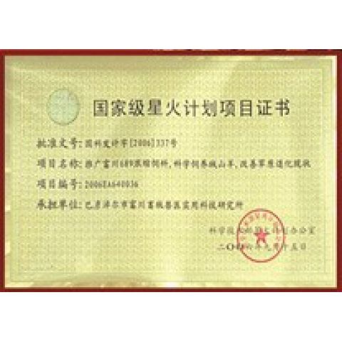 國家級星火計劃項目書