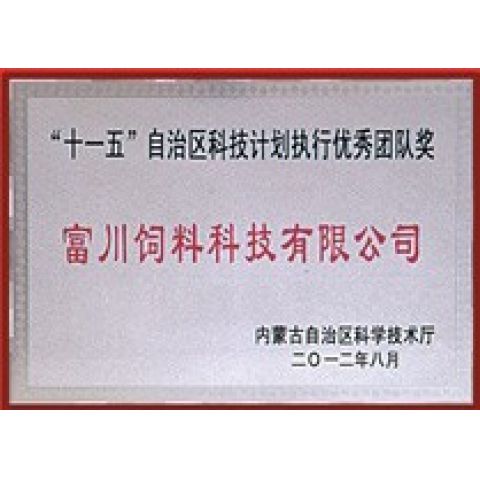 計劃執(zhí)行優(yōu)秀團隊獎