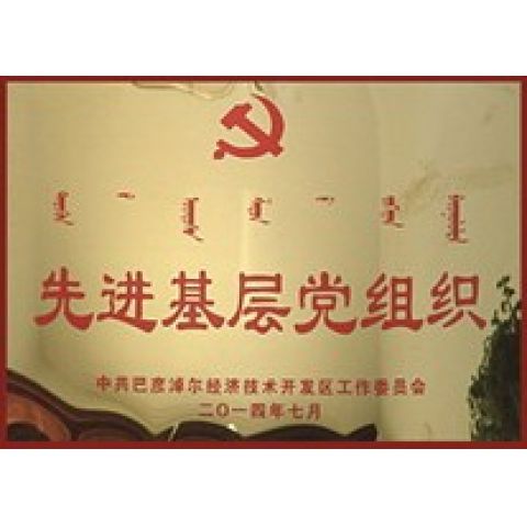先進基層黨組織