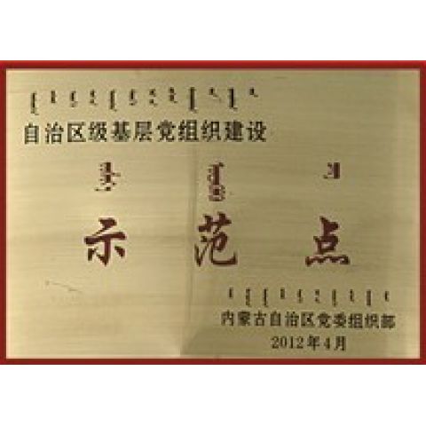 自治區(qū)基層黨組織建設示范點