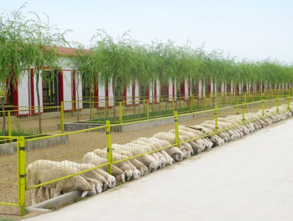養(yǎng)殖基地