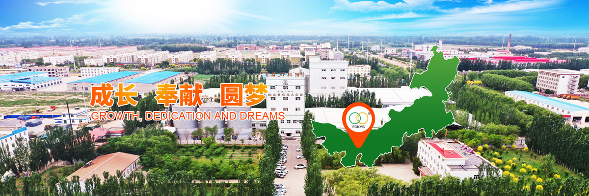 banner05.jpg